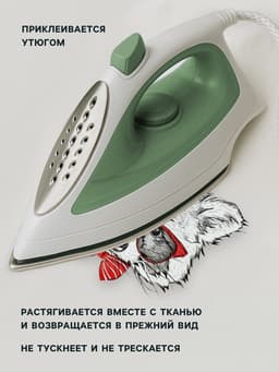 Термонаклейка «Енот в очках», 16.5×19 см