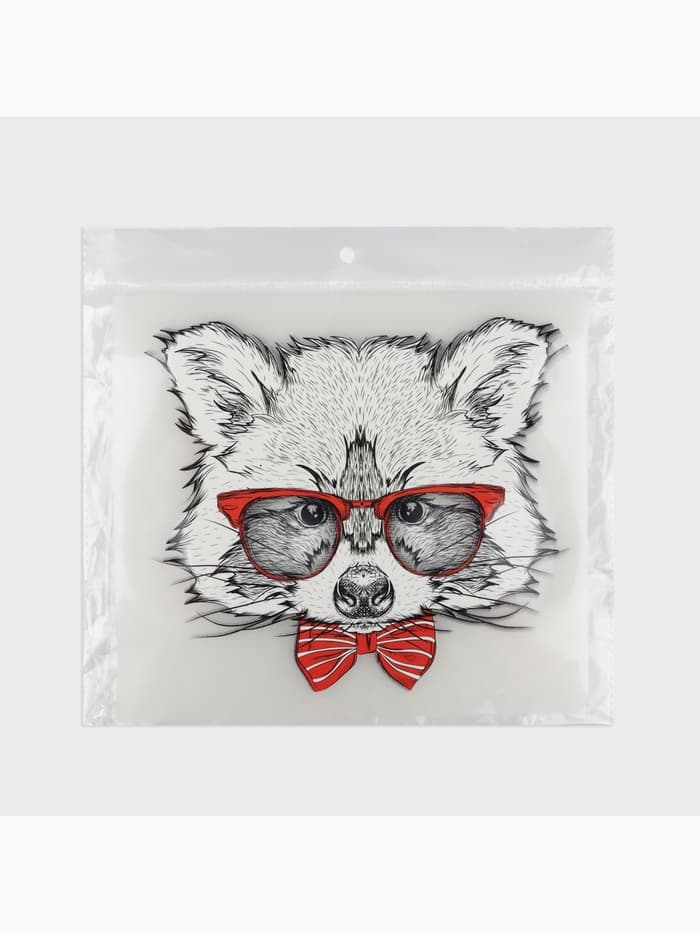 Термонаклейка «Енот в очках», 16.5×19 см