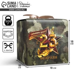 Коробка подарочная складная, упаковка, «23 февраля», 18×18×18 см