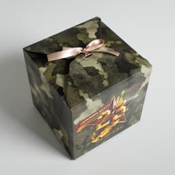 Коробка подарочная складная, упаковка, «23 февраля», 18×18×18 см