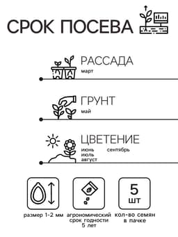 Семена цветов Пеларгония "Дансер Ворвик", смесь окрасок, F2, 5 шт.