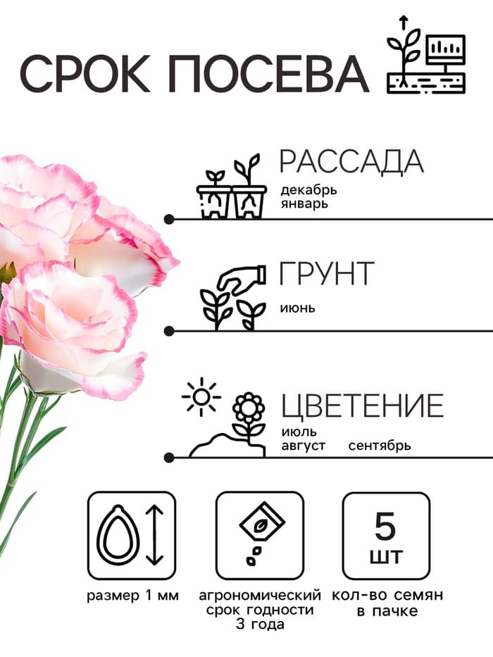 Семена цветов Эустома «Эйбиси роуз рим», F1, крупноцветковая махровая, 5 шт., однолетник, «Аэлита» селекция PanAmerican Seed