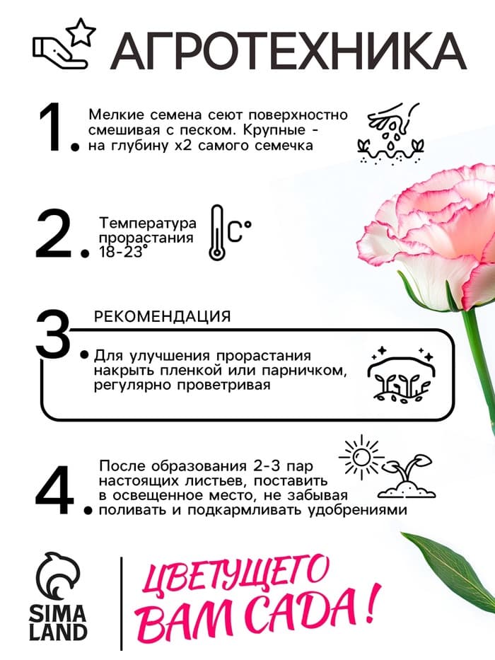 Семена цветов Эустома «Эйбиси роуз рим», F1, крупноцветковая махровая, 5 шт., однолетник, «Аэлита» селекция PanAmerican Seed