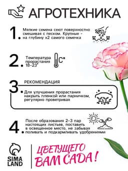 Семена цветов Эустома «Эйбиси роуз рим», F1, крупноцветковая махровая, 5 шт., однолетник, «Аэлита» селекция PanAmerican Seed