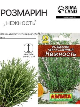 Семена Розмарин «Нежность», 0.03 г, «Аэлита»
