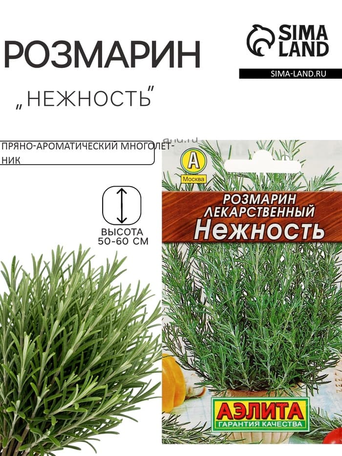 Семена Розмарин «Нежность», 0.03 г, «Аэлита»