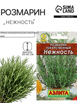 Семена Розмарин «Нежность», 0.03 г, «Аэлита»