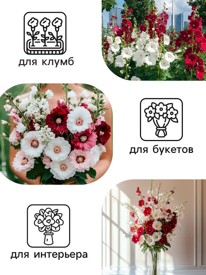 Семена цветов Шток-роза «Индийская весна», смесь сортов, 0.3 г, однолетник, «Аэлита»