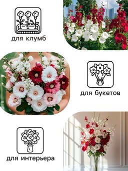 Семена цветов Шток-роза «Индийская весна», смесь сортов, 0.3 г, однолетник, «Аэлита»