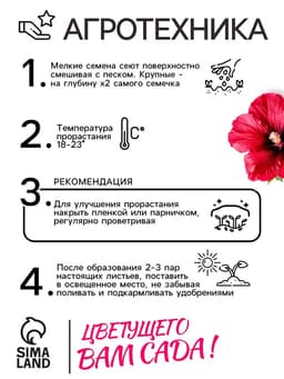 Семена цветов Шток-роза «Индийская весна», смесь сортов, 0.3 г, однолетник, «Аэлита»