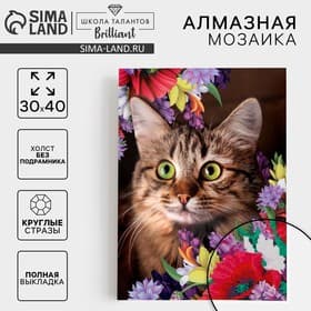 Алмазная мозаика с полным заполнением «Кот в цветах» 30×40 см, холст, ёмкость