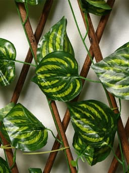 Ограждение декоративное «Лист осины», 200×75 см, Greengo