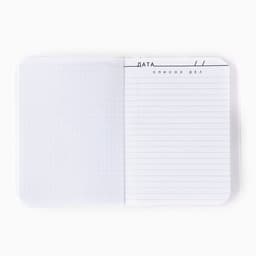 Подарочный набор новогодний, обложка на паспорт, и ежедневник антистресс, Flamingo winter party