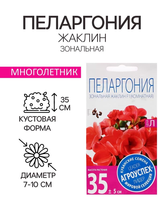 Семена цветов Пеларгония "Жаклин", красная с коричневым листом, F1, 4 шт