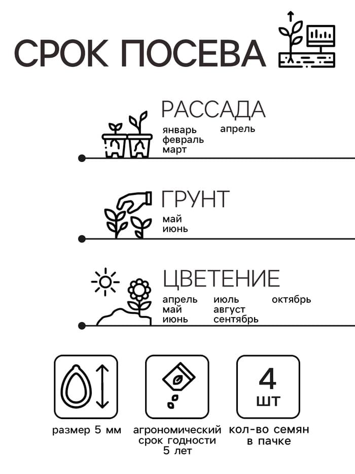 Семена цветов Пеларгония "Жаклин", красная с коричневым листом, F1, 4 шт