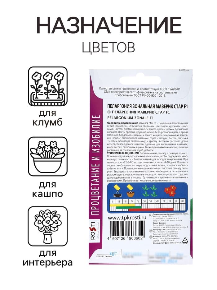 Семена цветов Пеларгония «Маверик Стар», F1, 4 шт., «Агроуспех»