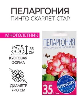 Семена цветов Пеларгония «Пинто Скарлет Стар», F1, 4 шт., «Агроуспех»