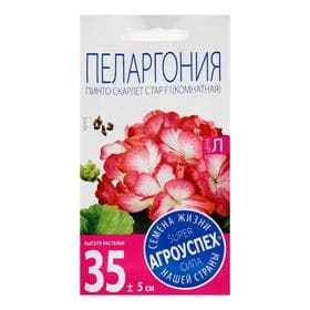 Семена цветов Пеларгония «Пинто Скарлет Стар», F1, 4 шт., «Агроуспех»