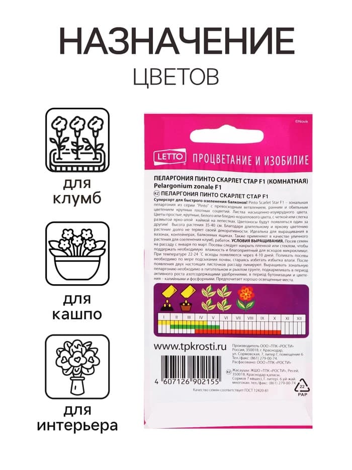 Семена цветов Пеларгония «Пинто Скарлет Стар», F1, 4 шт., «Агроуспех»