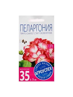 Семена цветов Пеларгония «Пинто Скарлет Стар», F1, 4 шт., «Агроуспех»
