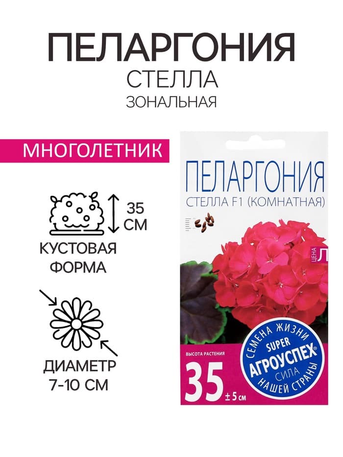Семена цветов Пеларгония "Стелла", розовая с коричневым листом, F1, 4 шт