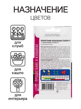 Семена цветов Пеларгония "Стелла", розовая с коричневым листом, F1, 4 шт