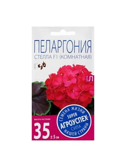 Семена цветов Пеларгония "Стелла", розовая с коричневым листом, F1, 4 шт