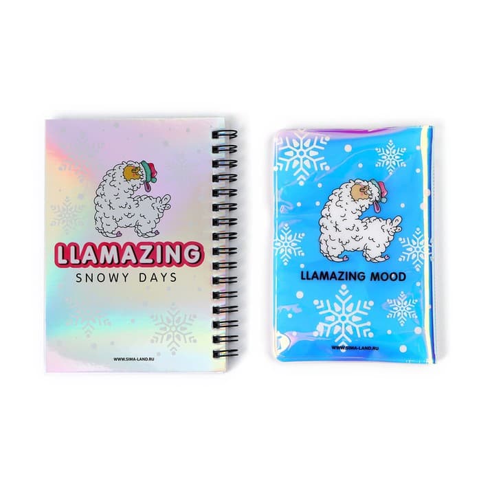 Подарочный набор новогодний, голографический блокнот и обложка на паспорт, Hello winter