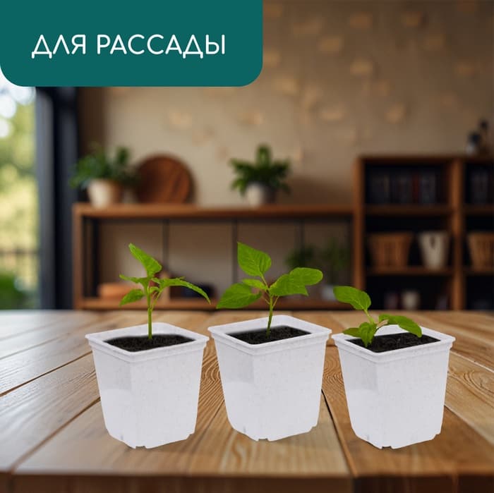 Горшок для рассады, 250 мл, d=7 см, h=8 см, пластик, белый
