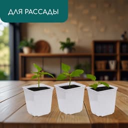 Горшок для рассады, 250 мл, d=7 см, h=8 см, пластик, белый