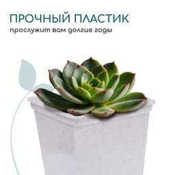 Горшок для рассады, 250 мл, d=7 см, h=8 см, пластик, белый