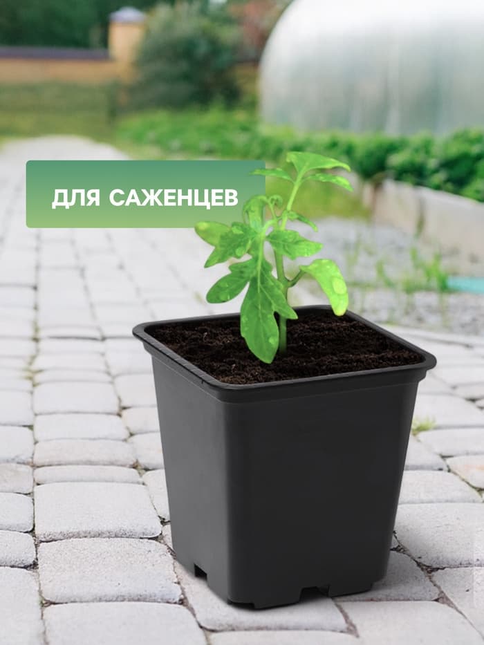 Горшок для рассады, 250 мл, 7×7×8 см, пластик, чёрный