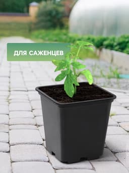 Горшок для рассады, 250 мл, 7×7×8 см, пластик, чёрный
