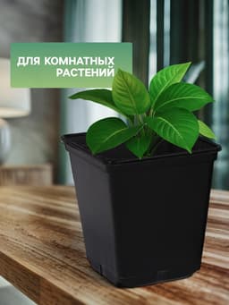 Горшок для рассады, 250 мл, 7×7×8 см, пластик, чёрный