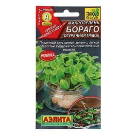 Семена Микрозелень «Бораго» (огуречная трава), 3 г, «Аэлита»