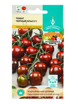 Семена Томат «Черный опал», F1, 10 шт., «Евро - семена»