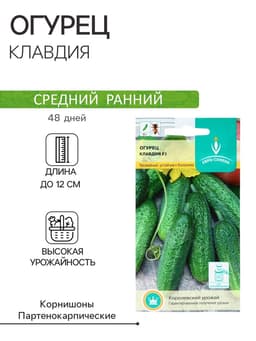 Семена Огурец «Клавдия» F1, 10 шт., «Евро-семена»