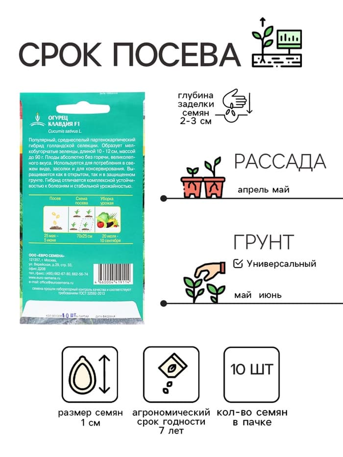 Семена Огурец «Клавдия» F1, 10 шт., «Евро-семена»