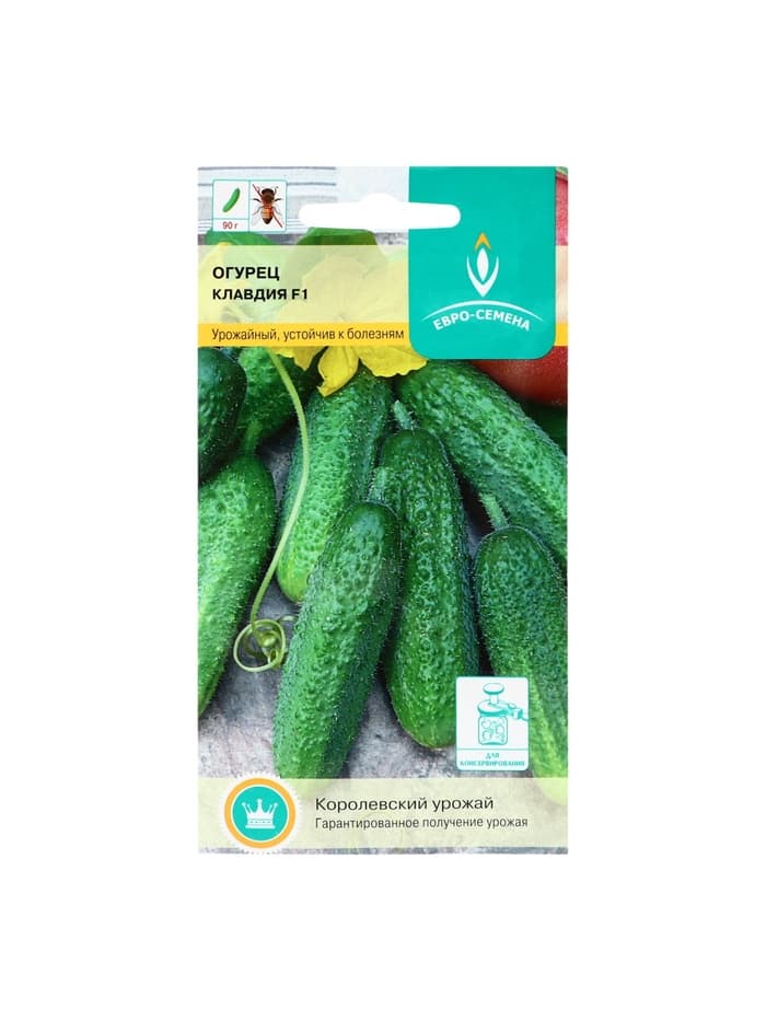 Семена Огурец «Клавдия» F1, 10 шт., «Евро-семена»