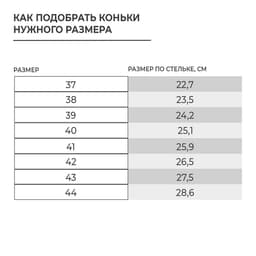 Коньки хоккейные ONLITOP 225L, размер 38