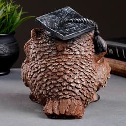Фигурка полистоун «Сова ученая», коричневая, 18×17×19 см