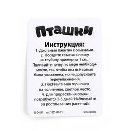 Набор для опытов, для детей «Пташки, выращиваем травку», растение в фиолетовом горшочке