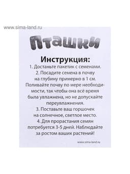 Набор для опытов, для детей «Пташки, выращиваем травку», растение в жёлтом горшочке