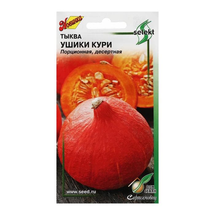 Семена Тыква «Ушики Кури», 5 шт., «Дом семян»