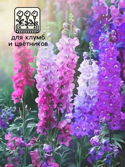 Семена цветов Дельфиниум «Экскалибур роуз виз би», F1, 10 шт.
