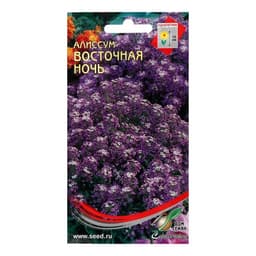 Семена цветов Алиссум «Восточная ночь», 170 шт., «Дом семян»