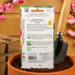 Семена цветов Вьюнок "Мозаика", красный, 44 шт