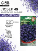 Семена цветов Лобелия «Император Вильям», 1000 шт., «Дом семян»