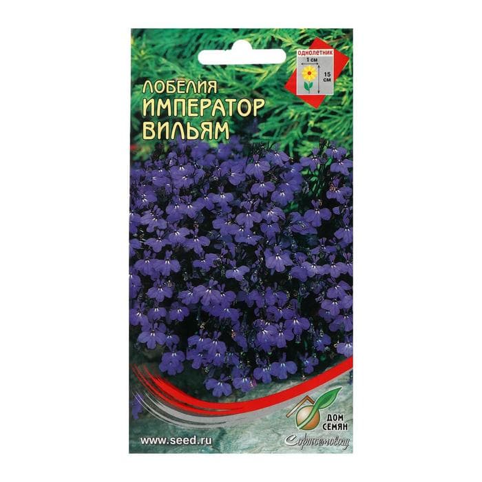 Семена цветов  Лобелия "Император Вильям", 1000 шт