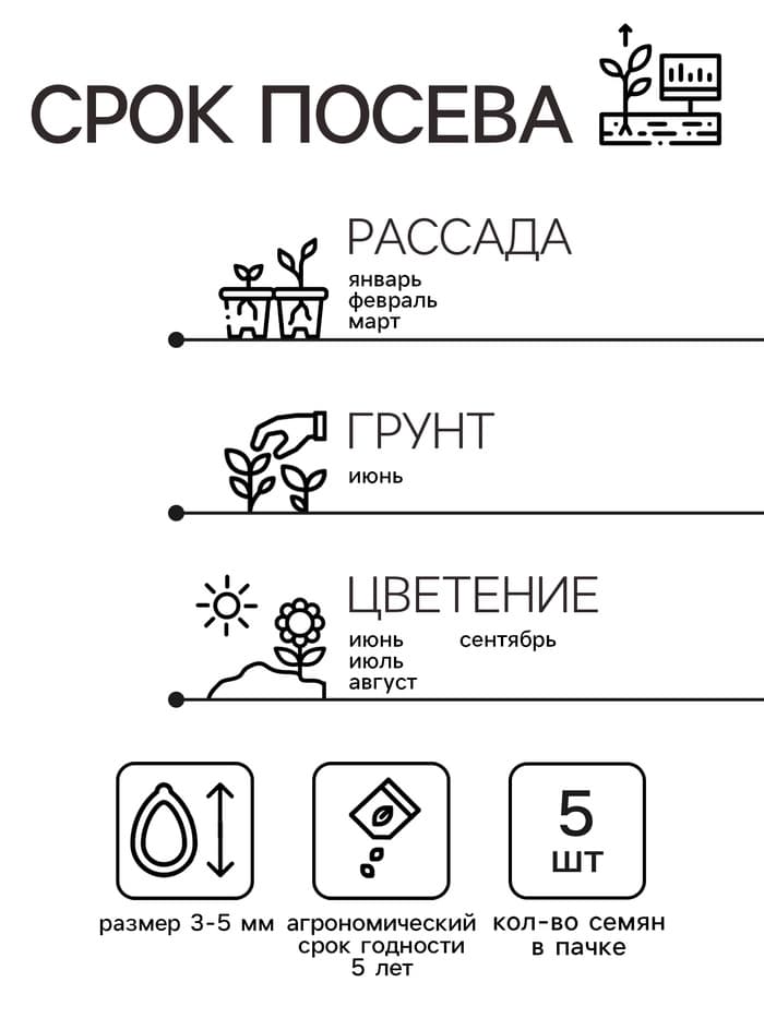 Семена цветов Пеларгония "Рафаэлла", розовая, 5 шт, F1,